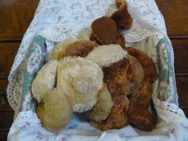BEAR AND BUNNY
