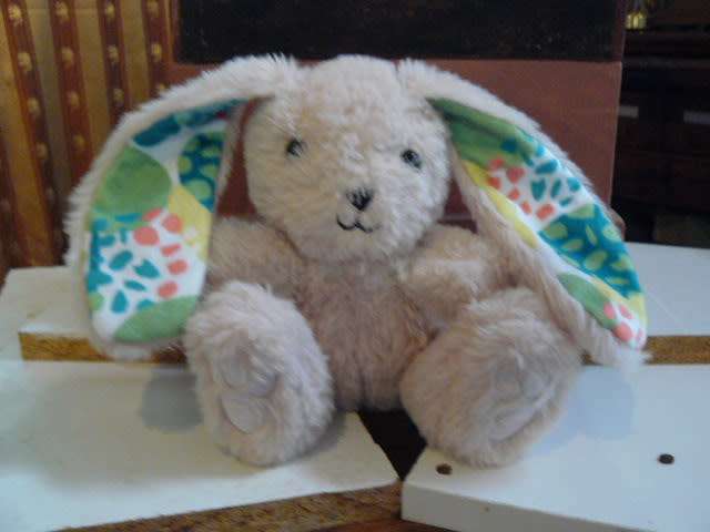 SOFT BUNNY