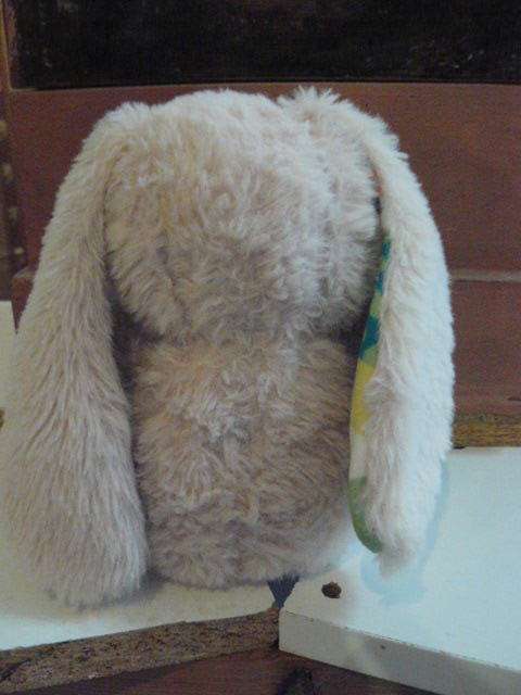 SOFT BUNNY