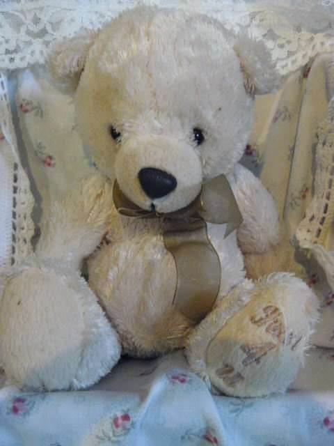 JUST FOR U TEDDY