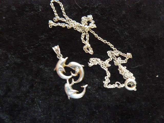 DOLFINE  PENDANT WITH SILVER COLOURED CHAIN46 CM LONG