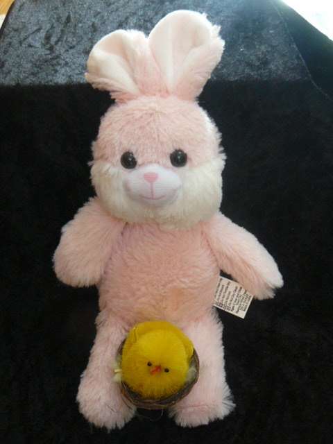 BUNNY AND FREE GIFT