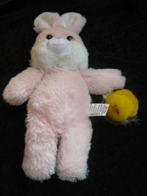 BUNNY AND FREE GIFT