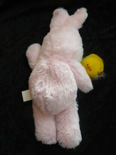 BUNNY AND FREE GIFT