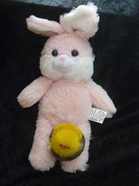 BUNNY AND FREE GIFT