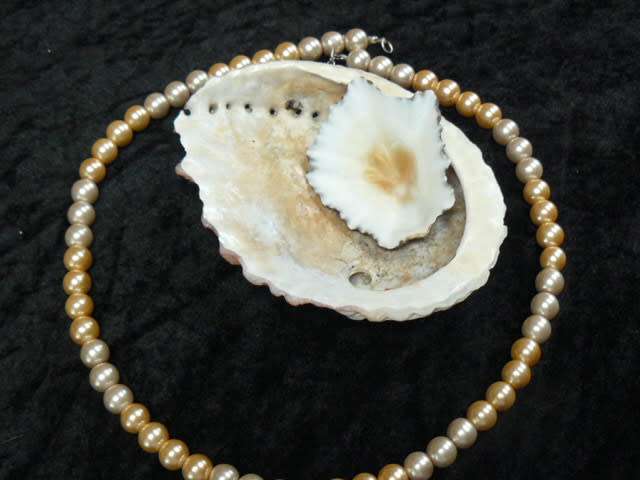 FOUX 2 TONED PEARL FASHION CHAIN WITH SHELL 57 CM