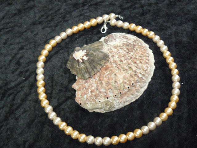 FOUX 2 TONED PEARL FASHION CHAIN WITH SHELL 57 CM