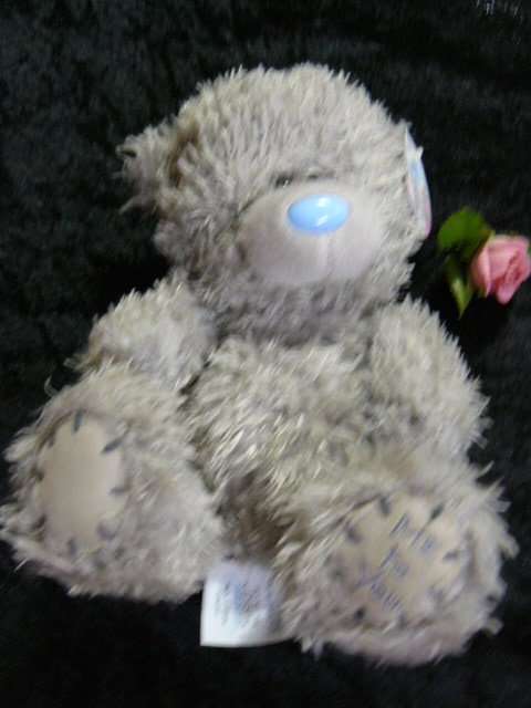 TEDDY ME 2 YOU