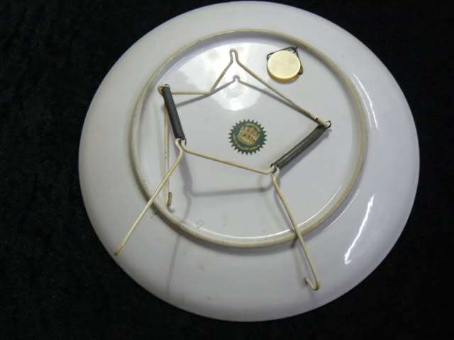 HAND DECORATED ROYAL SCHWABER 1984 TEE STEEGE B V HOLLAND WALL PLATE 25 CM