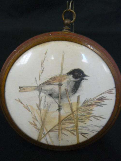 LITTLE PICTURE OF BIRD