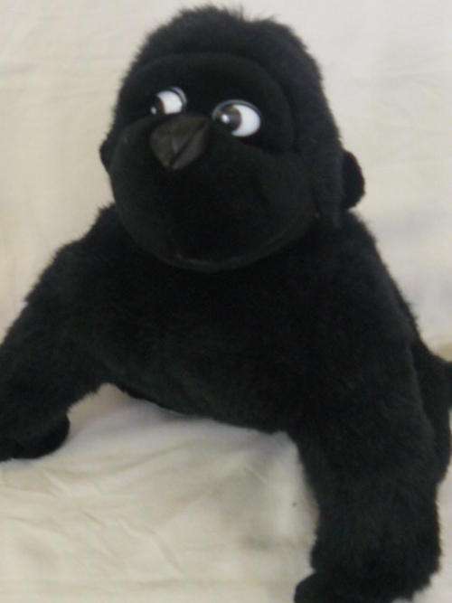 MONKEY
