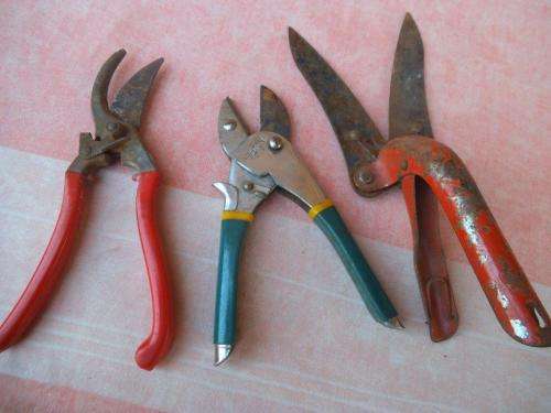 PRUNING SCISSORS