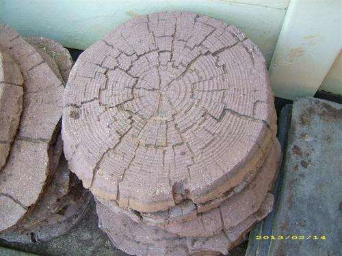 "Tree Trunk" like stepping stones