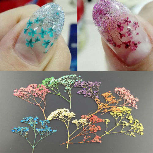 NAIL ART DRY FLOWERS