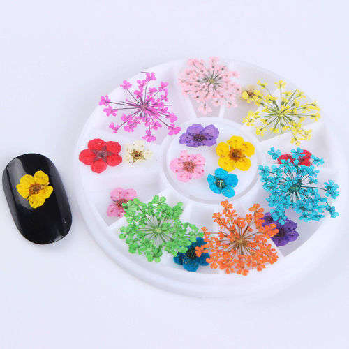 3D-Nail-Art-Decoration-in-Wheel-Preserved-Mixed-Dried-Flower-Design-Decor-Tips
