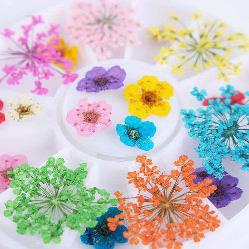 3D-Nail-Art-Decoration-in-Wheel-Preserved-Mixed-Dried-Flower-Design-Decor-Tips