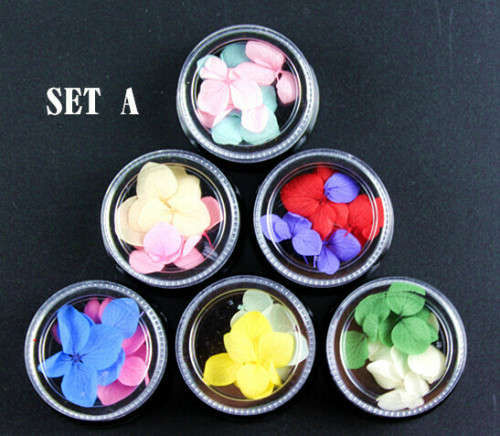Dry Flower 6pcs - SET A
