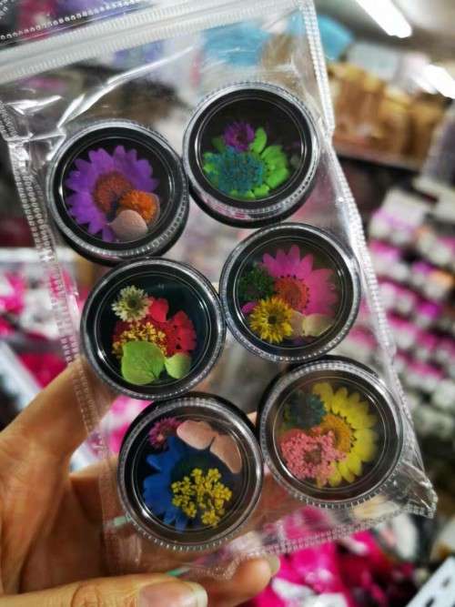 6pcs Dry Flower