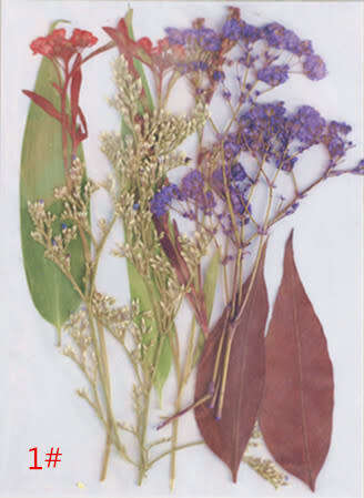 Dry Flower In packet message number of bag