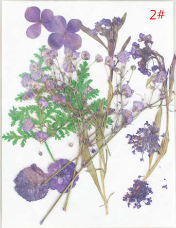 Dry Flower In packet message number of bag