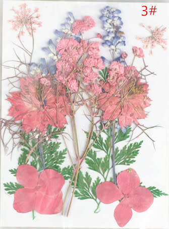 Dry Flower In packet message number of bag