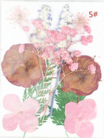 Dry Flower In packet message number of bag