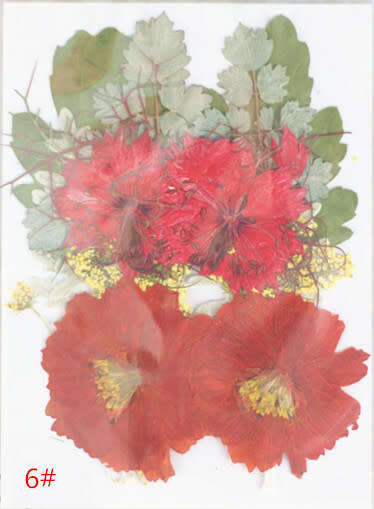 Dry Flower In packet message number of bag