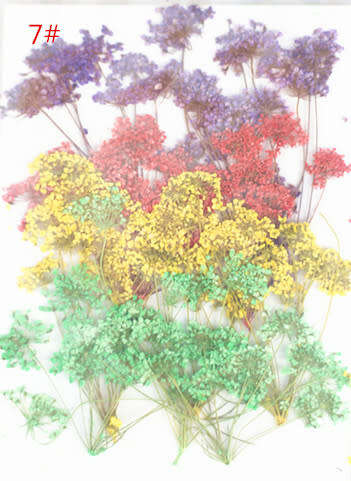 Dry Flower In packet message number of bag