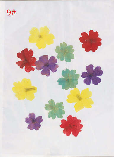 Dry Flower In packet message number of bag