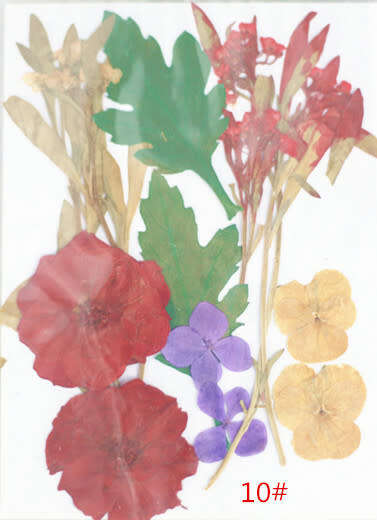 Dry Flower In packet message number of bag