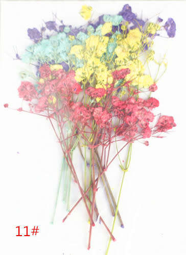 Dry Flower In packet message number of bag