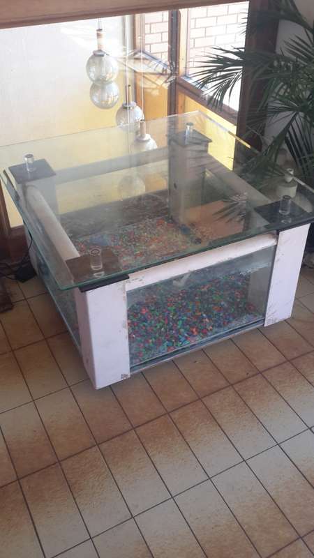 Coffee table fish tank