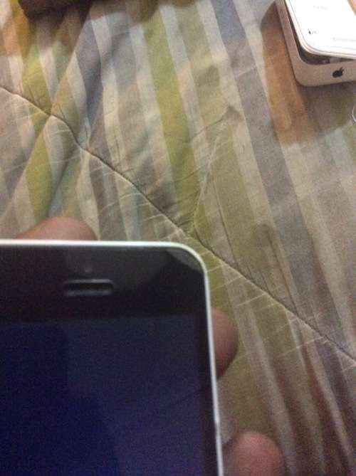 IPhone 5c