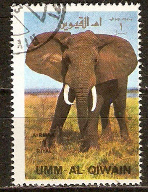 Umm Al Qiwain - Thematic  - 678 - as per scan