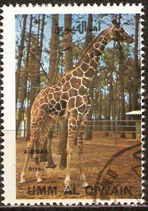 Umm Al Qiwain - Thematic  - 681- as per scan
