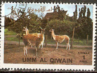 Umm Al Qiwain - Thematic  - 688- as per scan
