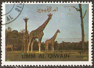 Umm Al Qiwain - Thematic  - 691- as per scan