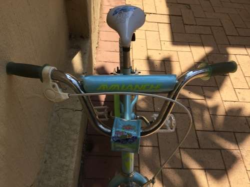 Girls Bicycle