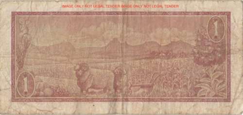 TW DE JONGH   R1  NOTE            B369 431336        SET008