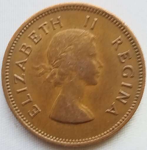 1959  HALF  PENNY    COIN        SA                       SUN11475