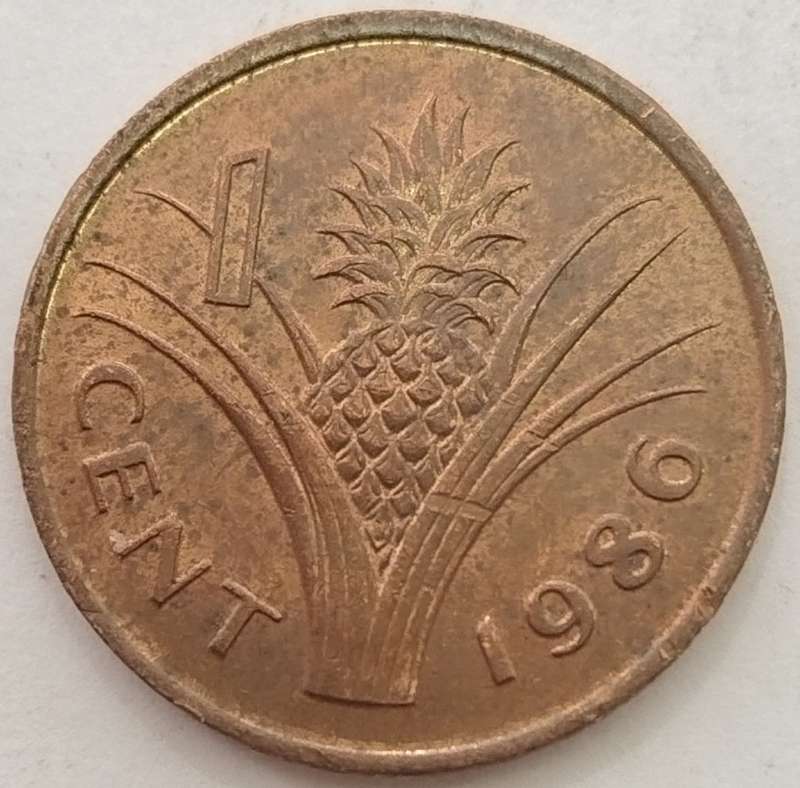 1986   1 CENT COIN       SWAZILAND                      SUN13033*
