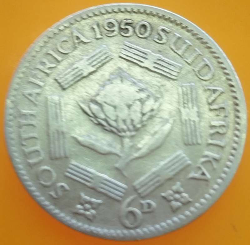 1950     6D  coin  SA        (SILVER 0.800 )       SUN13588*