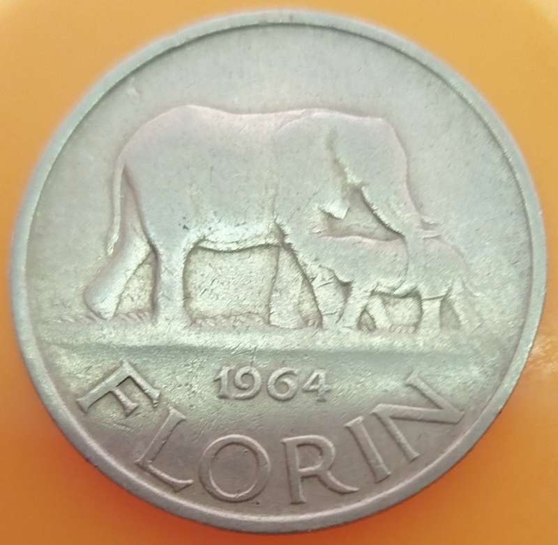 1964    FLORIN Coin      Malawi         SUN13651*