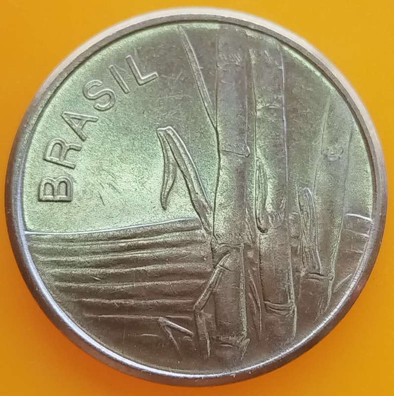 1981      1  Cruzeiros         Brazil       SUN13794*