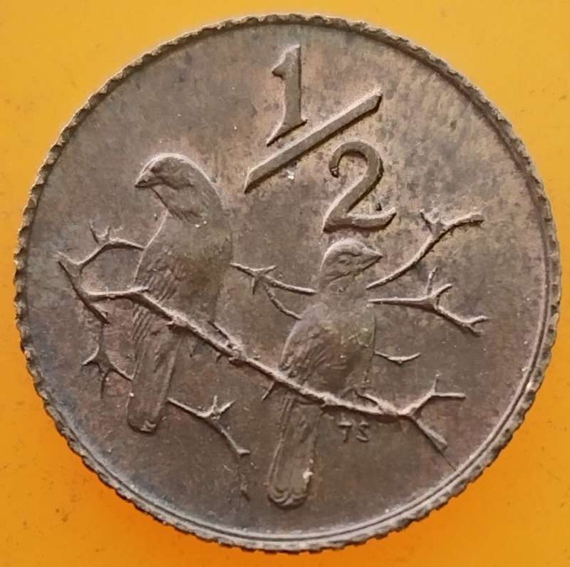 1970     1/2  Cent     Coin                SUN14550