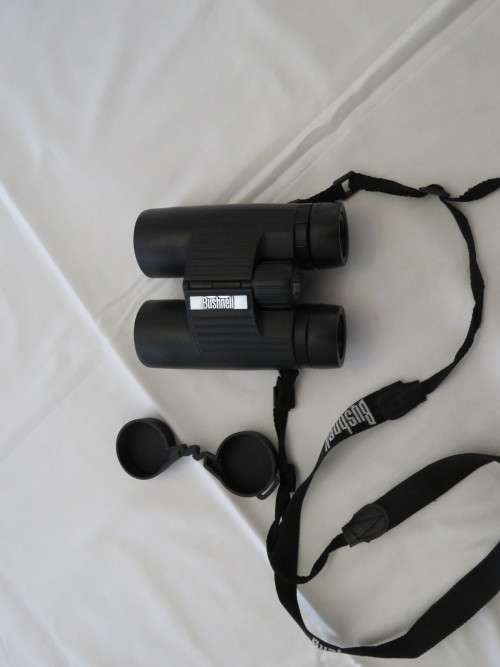 Bushnell Binoculars 10 x 42 Excursion Waterproof