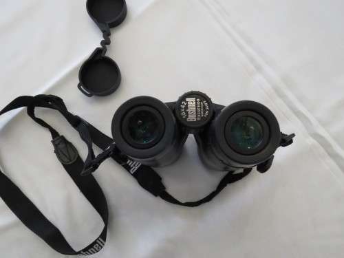 Bushnell Binoculars 10 x 42 Excursion Waterproof