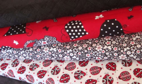 lady bugs