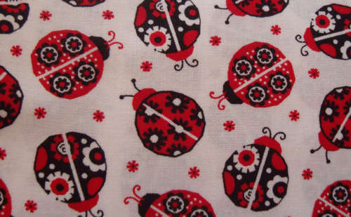 lady bugs