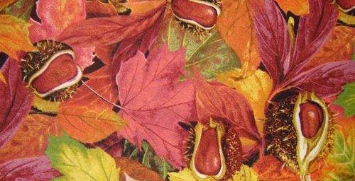Quilting Fabric